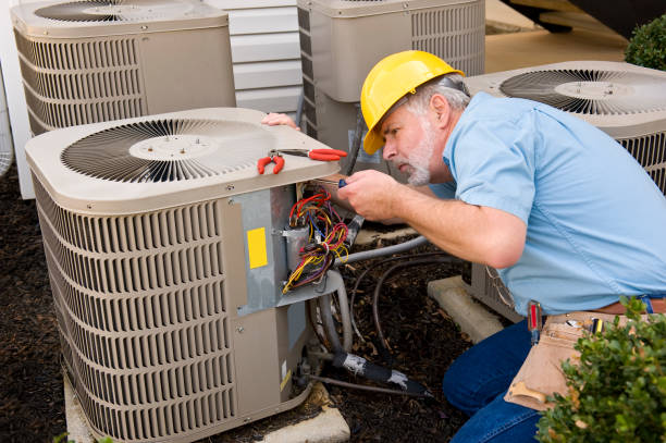 Best Best HVAC Companies  in Winthrop, MN